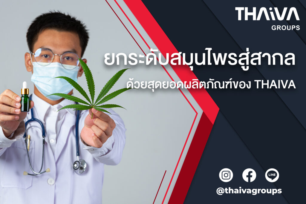 Bringing Thai local herbs to international market